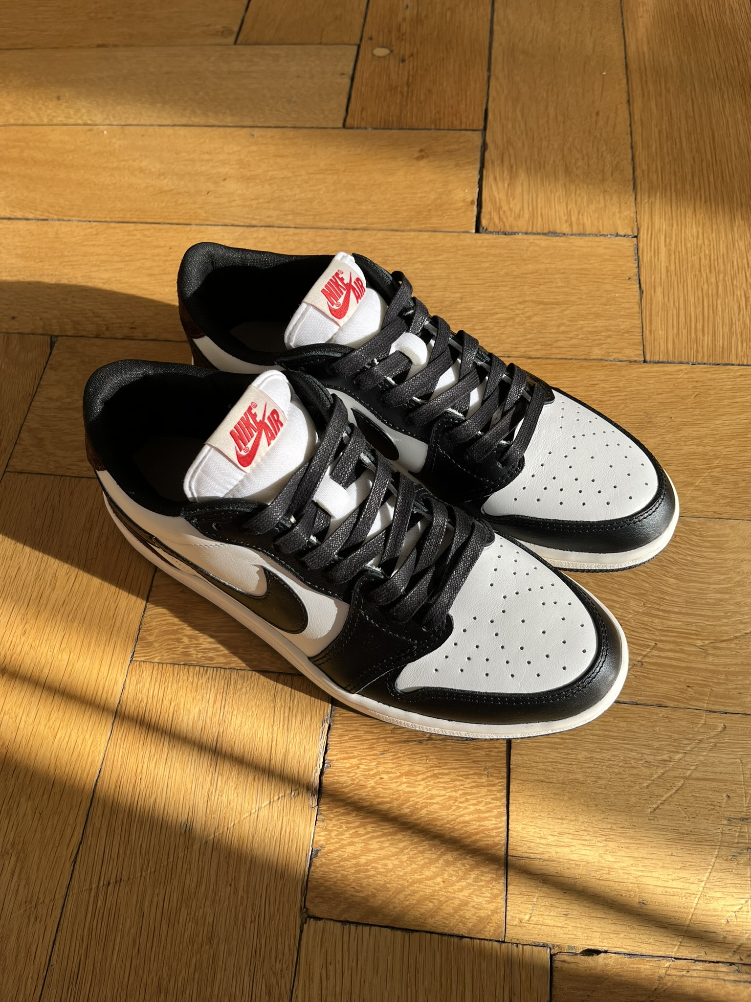 Mocha Latte Low